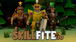 Skillfite.io